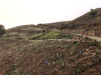 Sustentabilidade